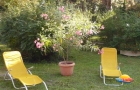 Balatoni Hotel