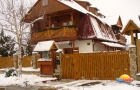 Kaktusz Villa