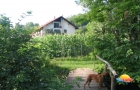 Erdőalja-Vendégház