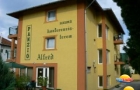Alfréd Terem