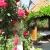 4 fős apartman