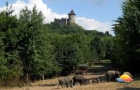 Börzsönyi kaland túra