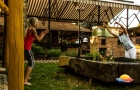Hotel Vineyard Inn - Szőlőskert***