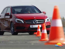 Driving Camp