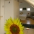 Apartman